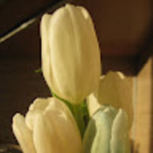 Meet your Posher, Jen